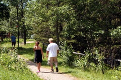 Central Loop Red Deer Trail