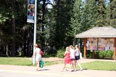Walking and Shopping