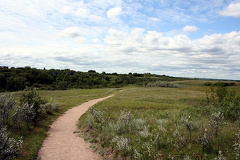 Green Trail Grass Fields