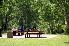 Picnicking in Saskatoon