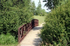 Meewasin Park Bridge