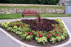 Flower Gardens