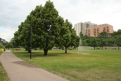 Paved Trail