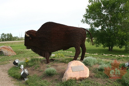 North Battleford Bison