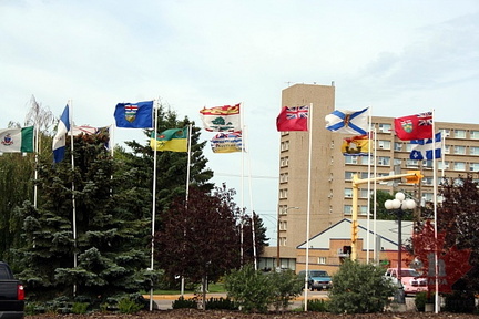 Flags of the Square