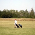 Golfing Anyone