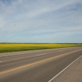 Highway of Yellow