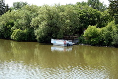Ferry Service on Wascana Lake