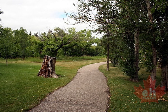 Paved Trails in Wakamow Valley