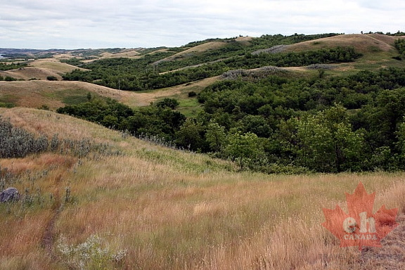 Valley Prairie Hills in Buffalo Pound Park