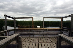 Nicolle Flats Marsh Lookout