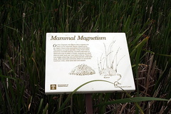 Information Signs