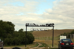 Welcome to the Nicolle Flats Marsh