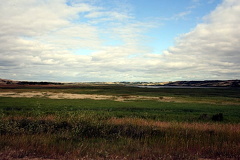 Nicolle Flats Marsh in Buffalo Pound Park