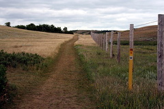 Trail Markers