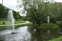 Fountain Views