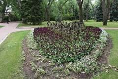 Gardens of Books