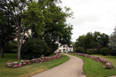 Path of Flowers