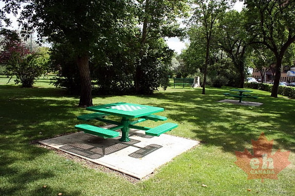 Check Mate Picnic in Crescent Park