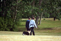 Dog Walking in Moose Jaw