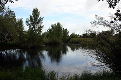 Creek Views in Sunningdale Park