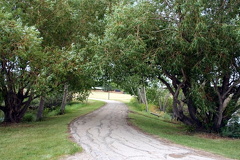 Woodland Trails