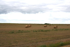 Rolling Hay in Moose Jaw