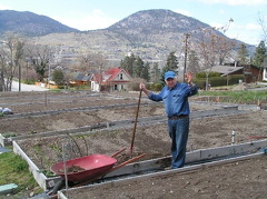 Gardening