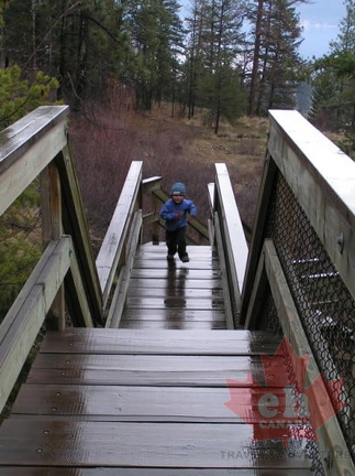 Children Enjoying Nature