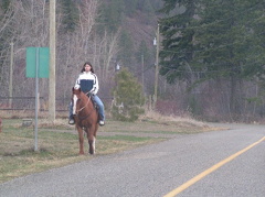Fintry Horseback Riding