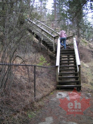 Boardwalk Trail