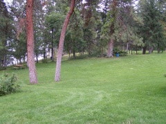 Grass Lawns