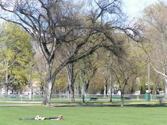 Suntanning