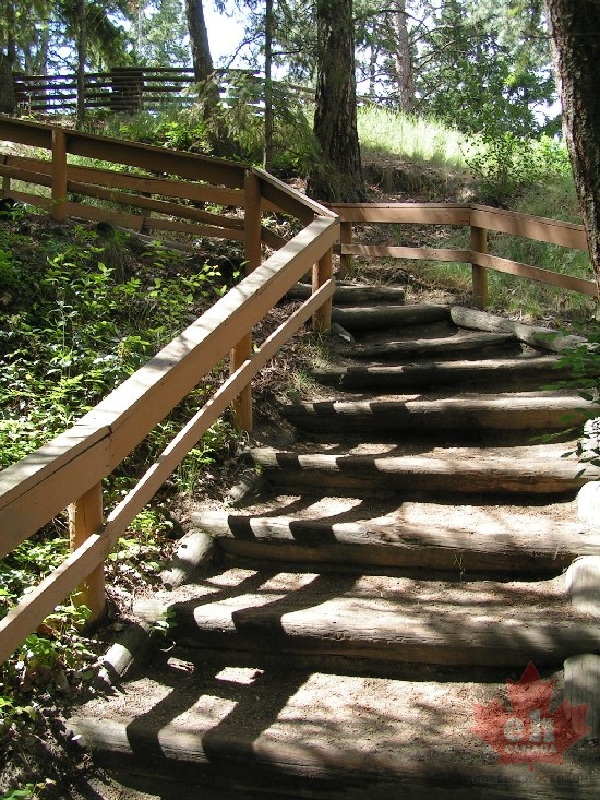Steps