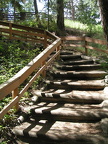 Steps