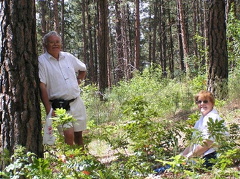 Nature and People