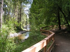 Walking Path