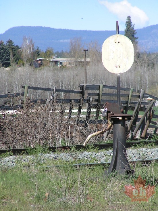 Rail Switch
