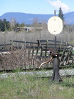 Rail Switch