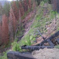Remains of Trestle