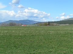 Winfield Farm Fields