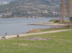 Pioneer Park