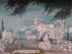Murals