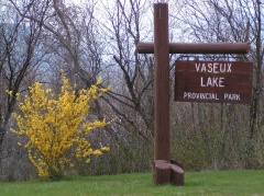 Vaseux Lake