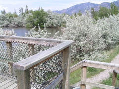 Walkway