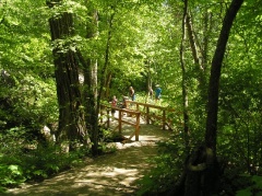 Walking Path