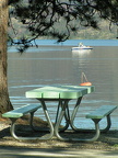 Lakefront Picnics