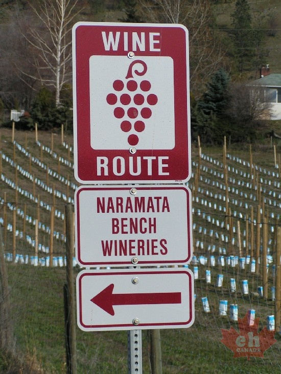 Wine Tours