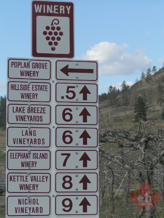 Wine Route