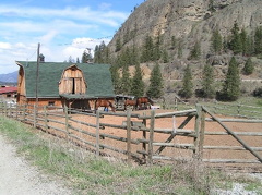 Horses